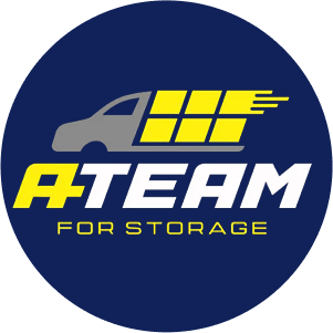 A Team For Storage logo