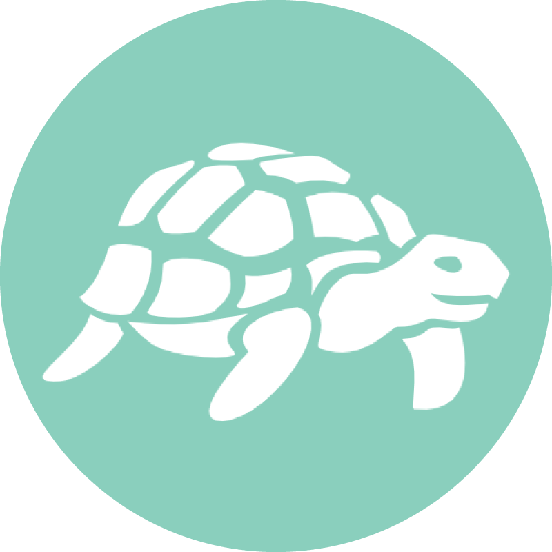 Tortoise Storage Logo